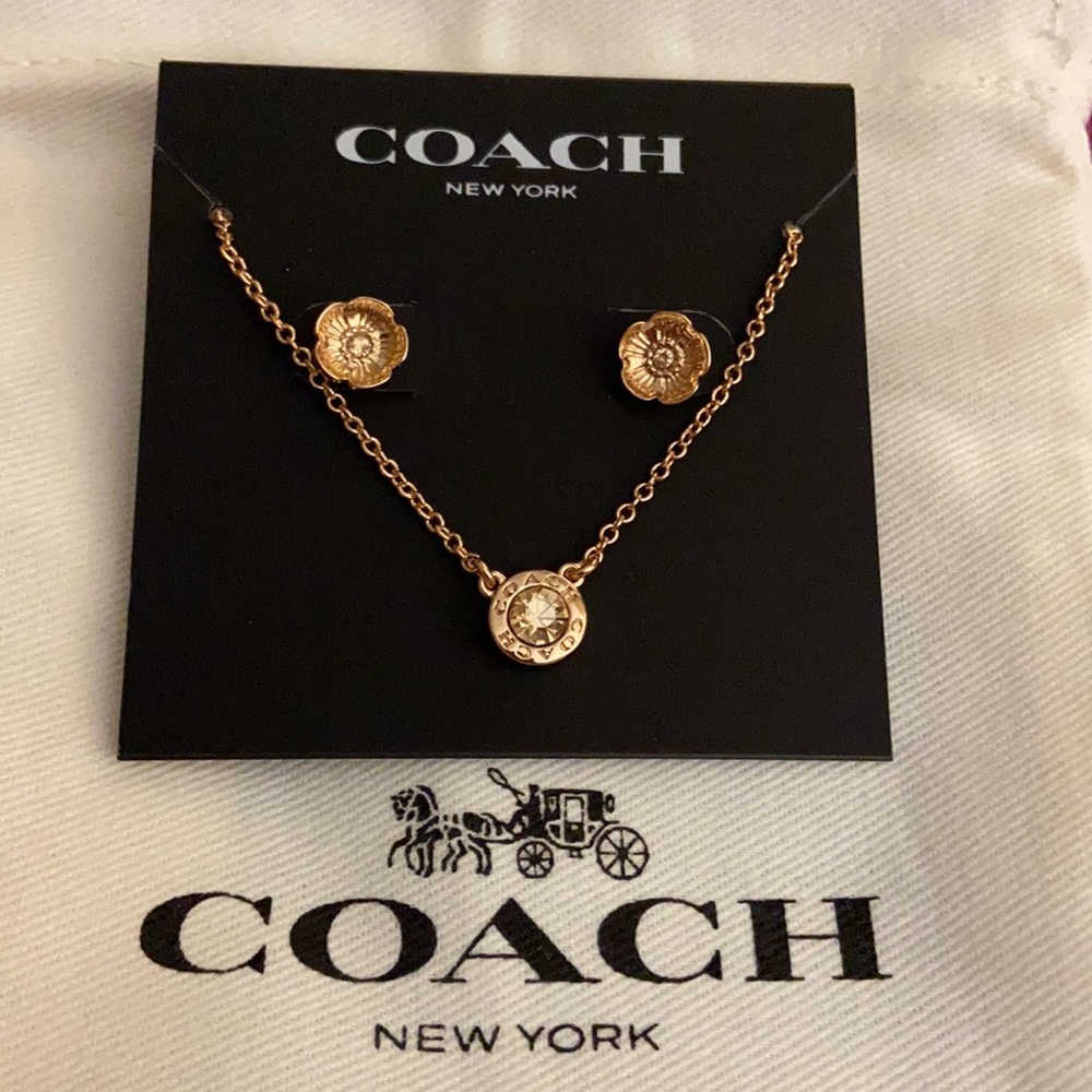 🎁 Gift Idea! Coach Necklace and Rose Earrings